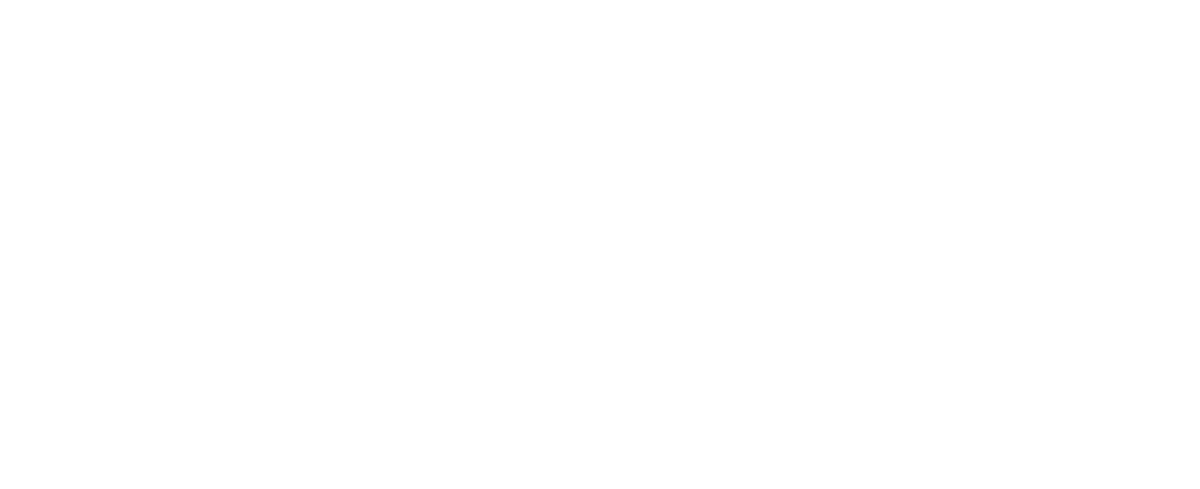 Ammiraglia Desarrollistas